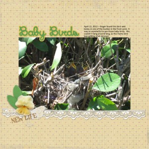 MOC 5 - Challenge 15 - Baby Birds