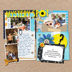 Mystery Spot