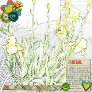 MOC-day-25-Irises