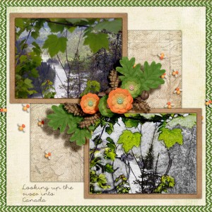 JANUARY 25 - PHOTO TREATMENT-TECHNIQUE-ARTISTIC SKETCH (PHOTOGRAPHY CHALLENGE)