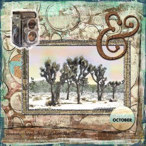 October at Joshua Tree