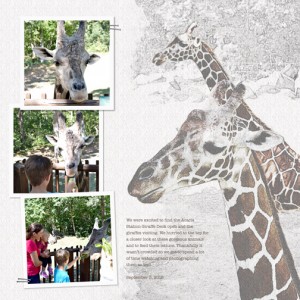 Feeding Giraffes (MOC 2017-25)