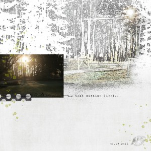 25.photo-treatment