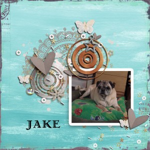 Jake---cluster