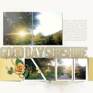 Good Day Sunshine
