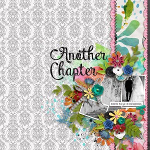 Another Chapter