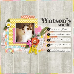 MOC 5 Day 8 Wonderful Watson
