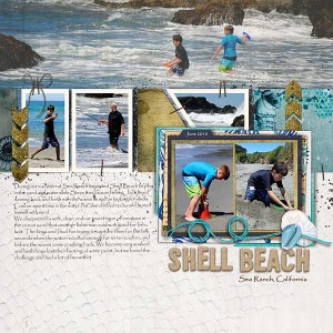 MOC 27: Shell Beach