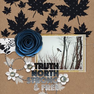 True North