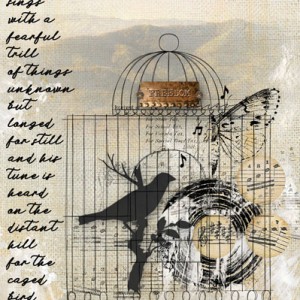 The Caged Bird Sings