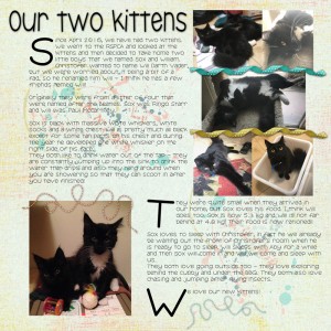 Our two Kittens - MOC Day 10