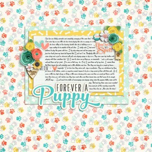 Forever A Puppy