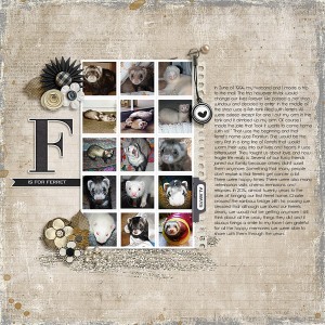 F Is For Ferrets
