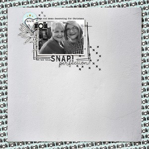 Snap! Perfection! - MOC5 January 9 Challenge
