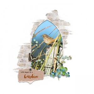 Arch Garden