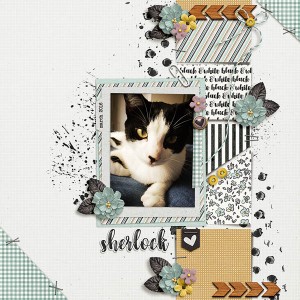 sherlock