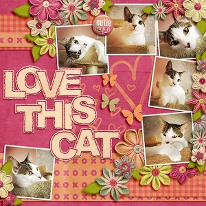 Love This Cat