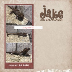 Jake