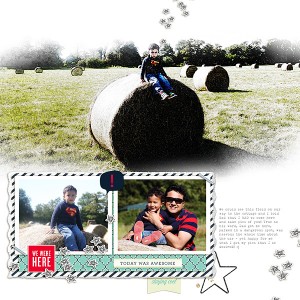 Bales-of-hay