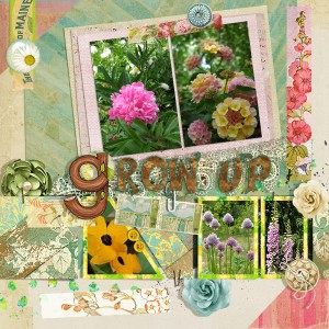MOC 5 – Day 27 – Grow up