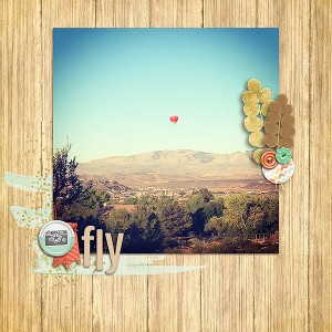 Fly