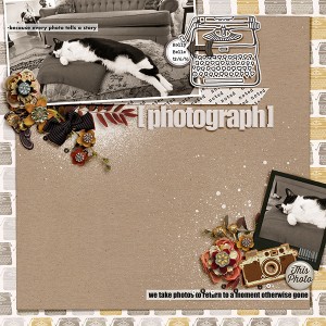 Photograph - MOC5 January 17 Challenge