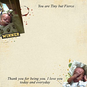 2017MOC_Day17_Inspiration_You are Tiny and Fierce