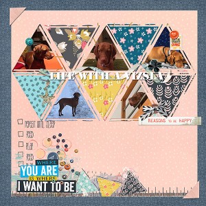 Life with a Vizsla - Filled Up (Style Challenge)
