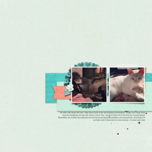 Template Challenge Feb 2017
