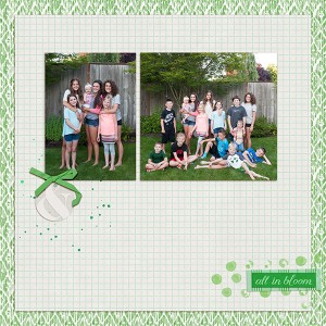 So Many Cousins