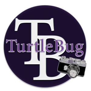 Turtlebugpin
