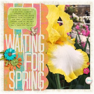 Waiting for Spring