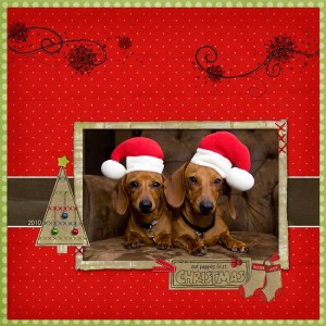 Puppies 1st Christmas