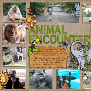Animal Encounter