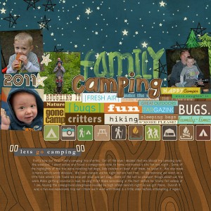 family camping 2011