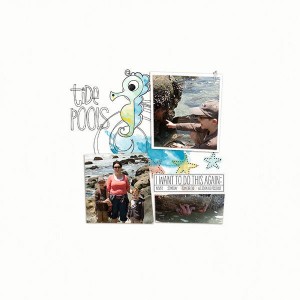 Tide pools