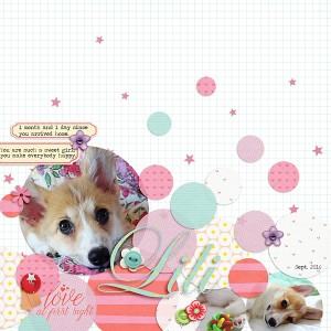 Puppy love