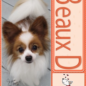 Beaux-D