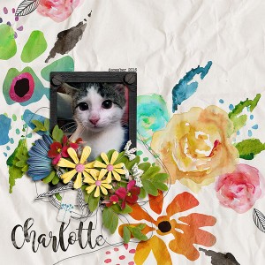 charlotte