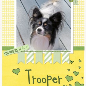 Trooper-2-5-17