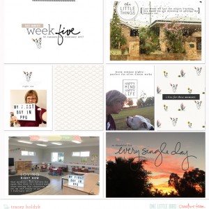 Week 5 Project Life