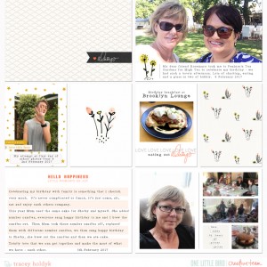 Onelittlebird-allthingsconsidered-bytraceyholdyk1