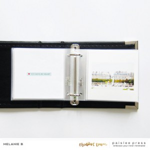 Paris mini-album III