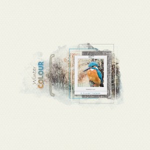 Kingfisher