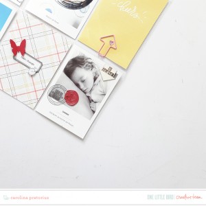 Onelittlebird-thisyear-bycarolinapretorius02