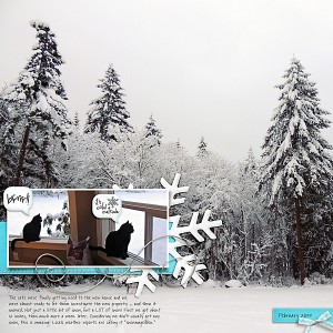 Snowy View