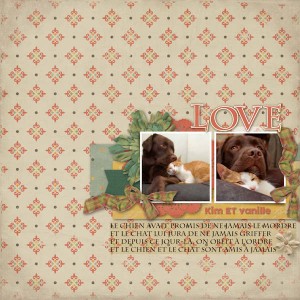 ETC DAN_Willow & Sc_february2017_template