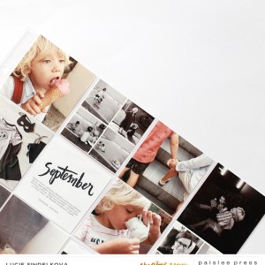 Paislee-FEBRUARYMONTHLYPROJECT-layoutbyLucieSindelkova_2