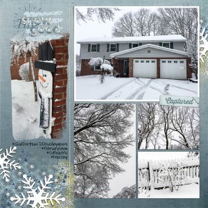 February 2017 Inspiration Challenge - February Snow, left side