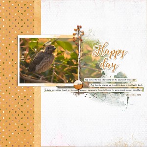 Baby-bird